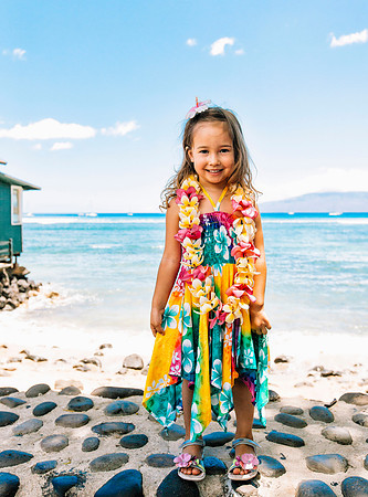 Hawaii vibe (2015)