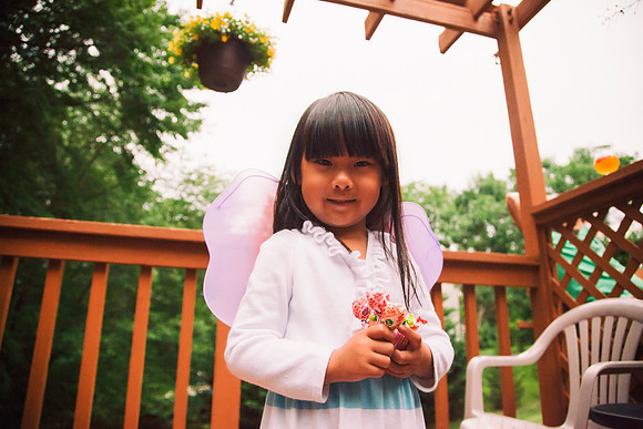 The Little Fairy II (2014)