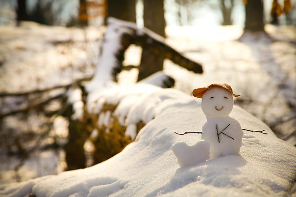My Little Snowman (2013)