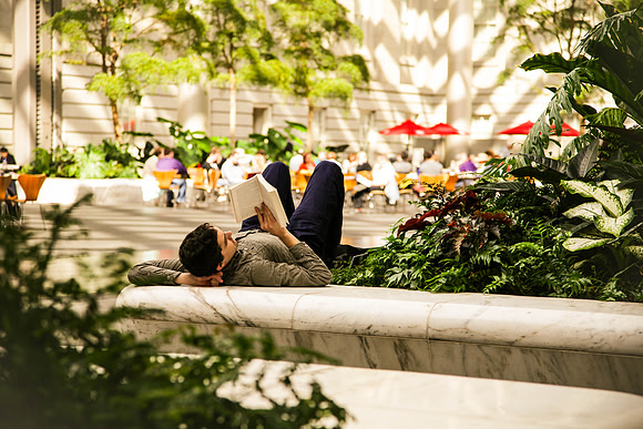 Reader (2013)